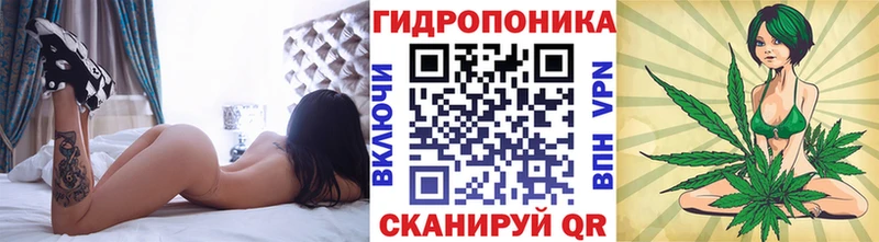 Канабис конопля  купить наркотики сайты  Тамбов 